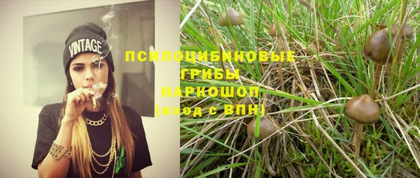 spice Алексин