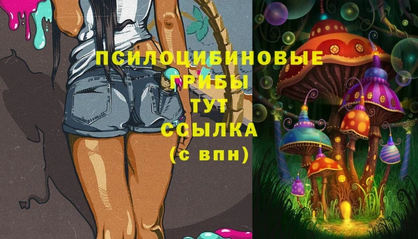 spice Алексин