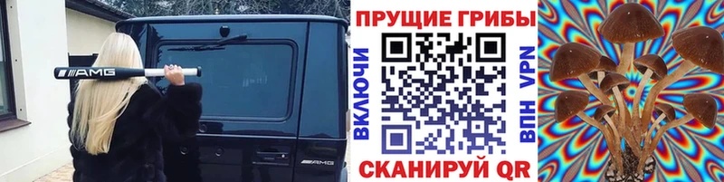 Галлюциногенные грибы Cubensis  хочу   блэк спрут зеркало  Кудрово 